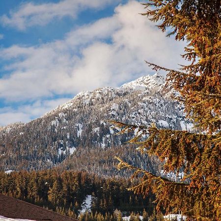 Updated Whistler Creek Studio With Parking Eksteriør billede