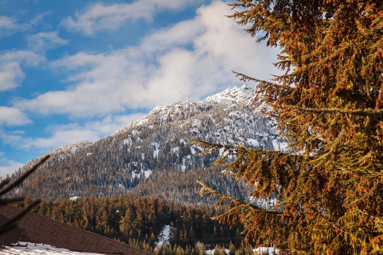 Updated Whistler Creek Studio With Parking Eksteriør billede